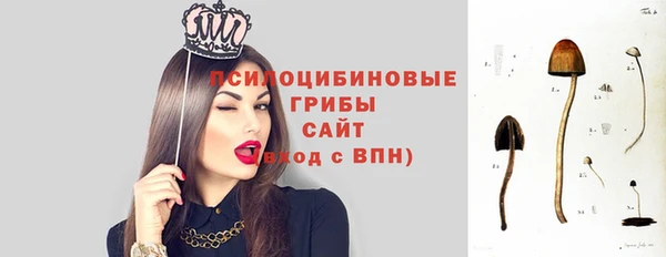 альфа пвп Куйбышев